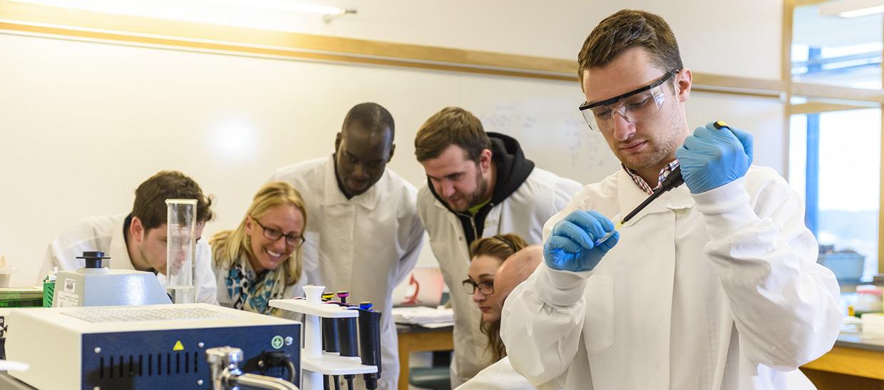 Students working in a lab